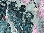 Beneath the frozen surface - Picture for gallery Astronomy