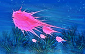 Pink Fishes by Ingrid Funk