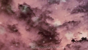 Asleep - Picture for gallery Emotions