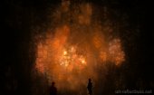 Bushfire by Ingrid Funk