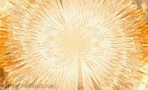 Here comes the Sun by Ingrid Funk
