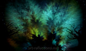 Northern Lights by Ingrid Funk