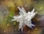 Snowflake - Picture for gallery Seasonal
