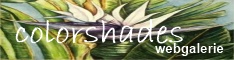 banner www.colorshades.com